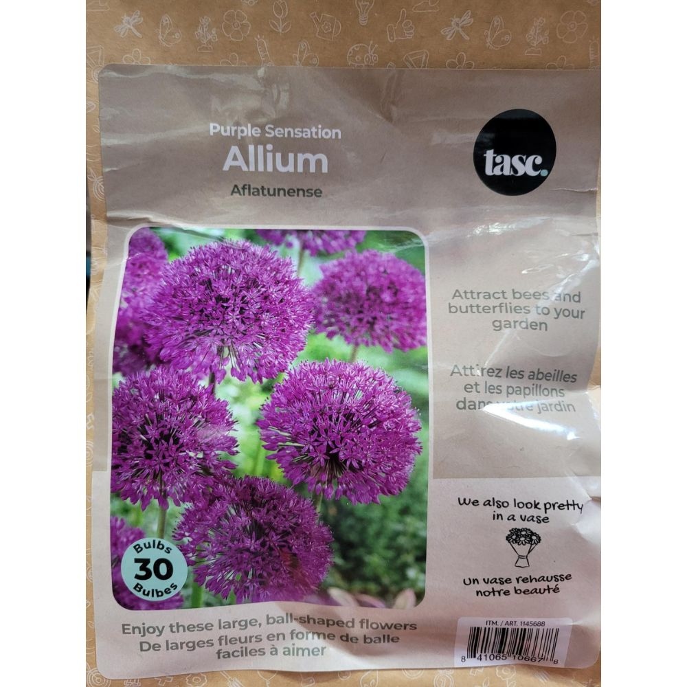 Tasc - Assortiments de bulbs de fleurs