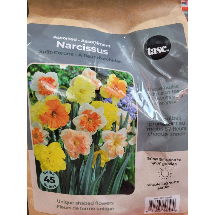 Tasc - Assortiments de bulbs de fleurs