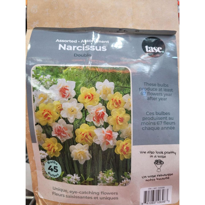 Tasc - Assortiments de bulbs de fleurs