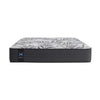 Sealy - Firm Mattress