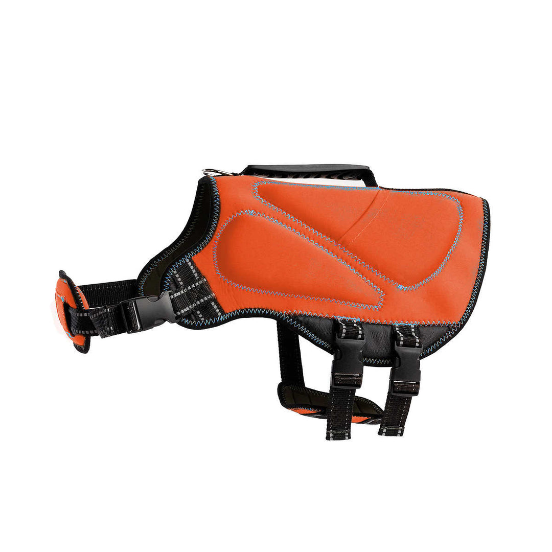 Silver Paw - Gilet de sauvetage en néoprène