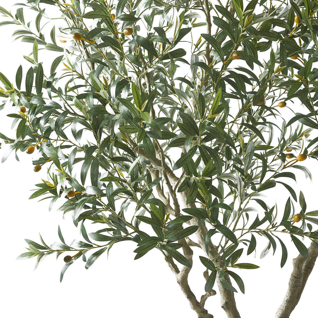 CGH - Olivier artificiel de 243,6 cm (95,9 po)