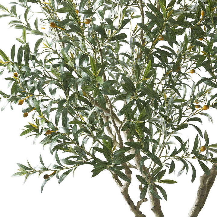 CGH - Olivier artificiel de 243,6 cm (95,9 po)