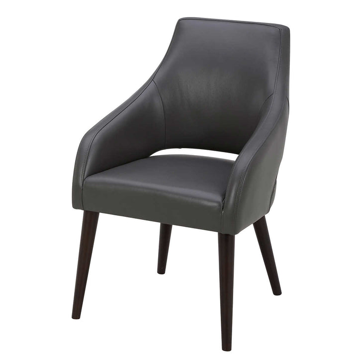 Gilman Creek - Leather Dining Chair