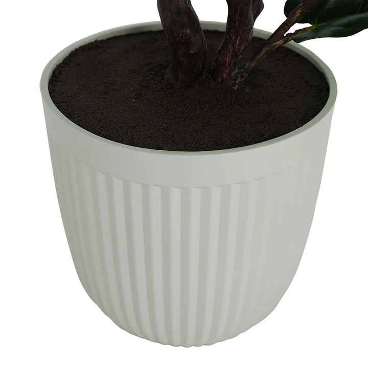 CGH - Figuier artificiel de 1,9 m (6,5 pi)