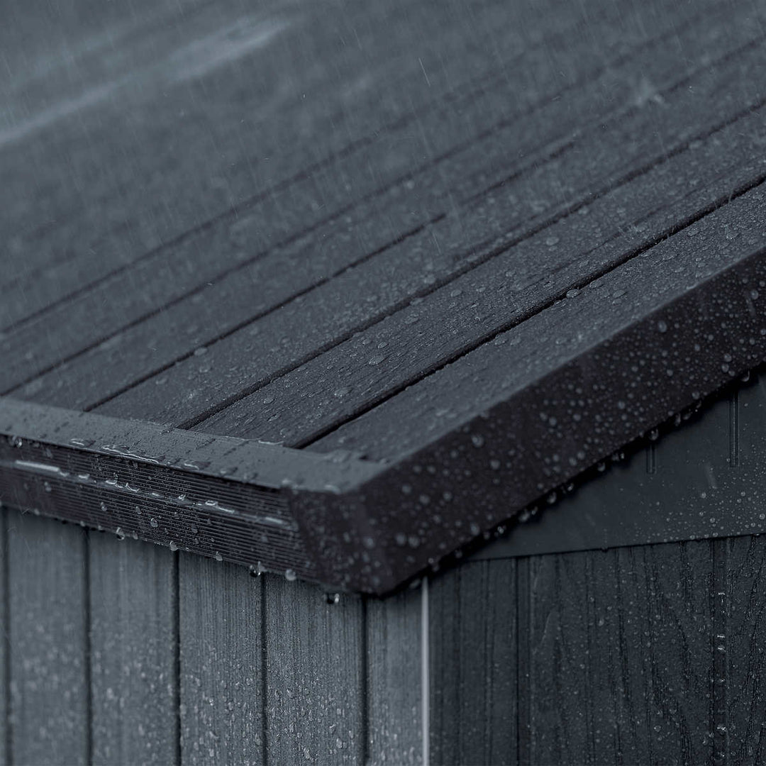 Keter - Remise Darwin 6 pi x 8 pi