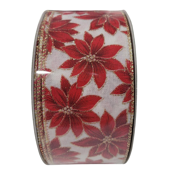 Kirkland Signature - Ruban de Noël bordé de fil de fer