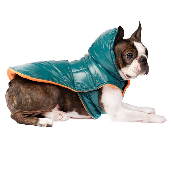 South Paw  - Veste pour chien Jackson