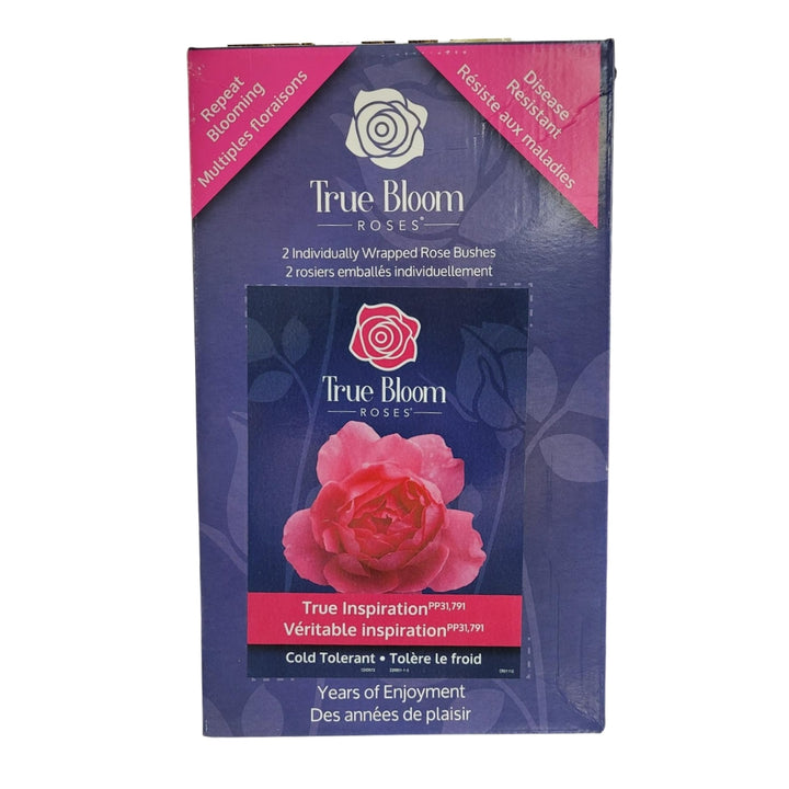 True Bloom Roses - Assortiment de roses