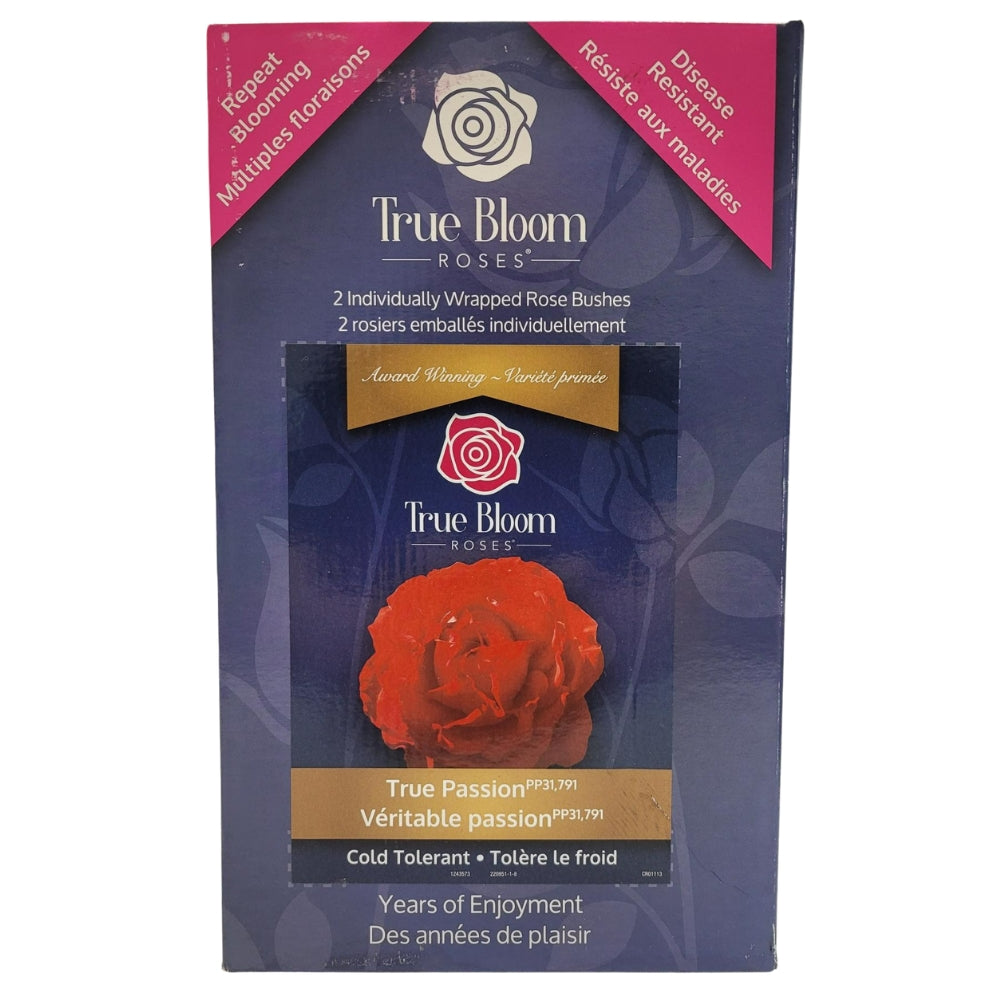 True Bloom Roses - Assortiment de roses