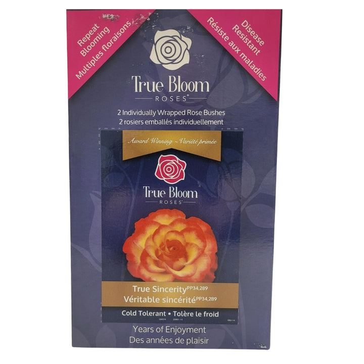 True Bloom Roses - Assortiment de roses