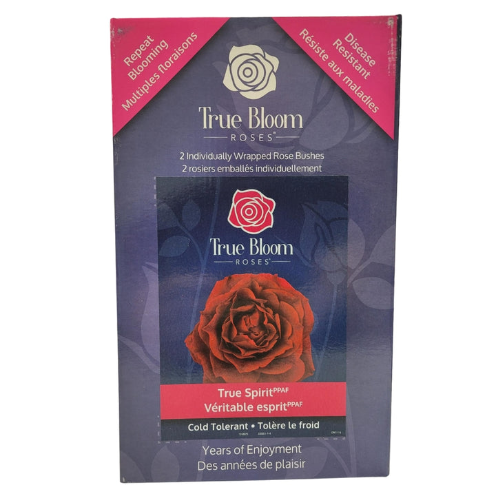 True Bloom Roses - Assortiment de roses