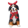 Chien d'accueil des Fêtes - 64.5 cm (25.4 po)