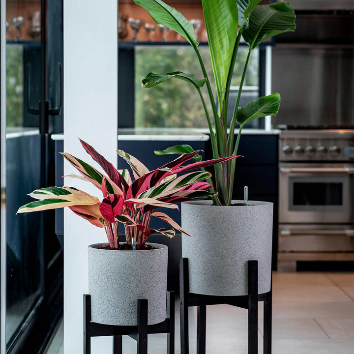 Vita Växa - Jardinières, ensemble de 2