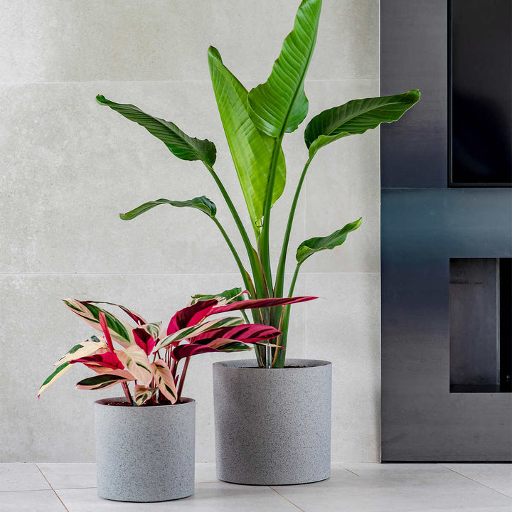 Vita Växa - Jardinières, ensemble de 2