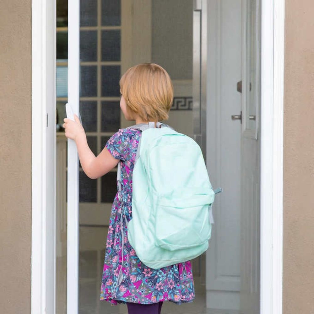 Genius Screens Retractable Screen Door